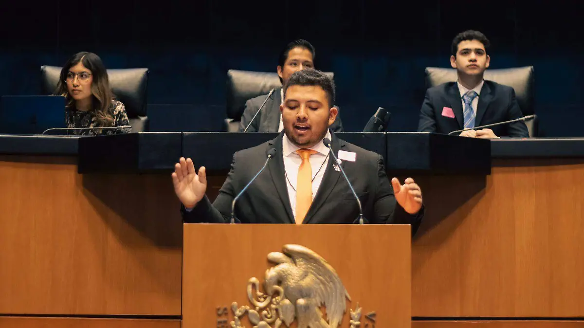 Joven irapuatense representa a Guanajuato en el Parlamento Juvenil (1)